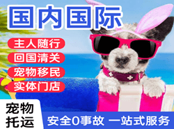 温州航空空运国际宠物托运 【国